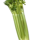 Illustration for article titled Veggie-Brained Diet Doctors Promote Veggie-Shaped Bodies